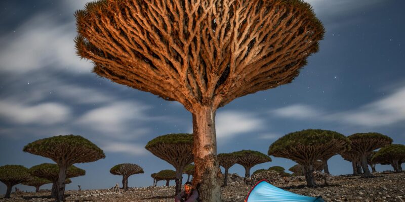 Socotra